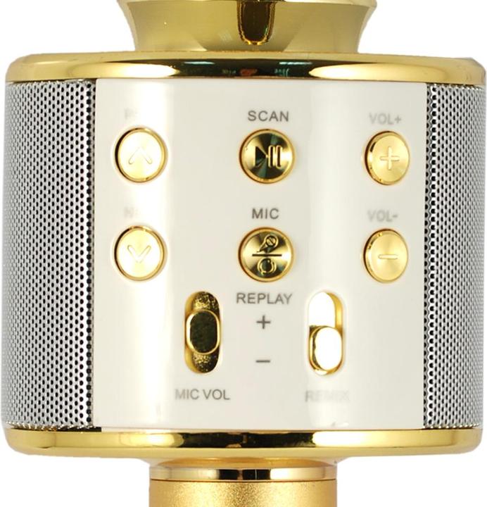 Actual product image Xtreme Hollywood Gold, Silver Karaoke microphone