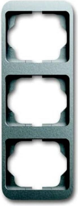 Actual product image Busch-Jaeger Frame