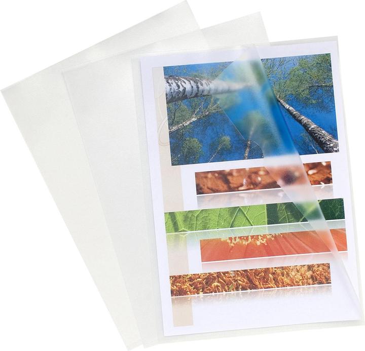 Immagine prodotto Exacompta Tasca trasparente Advanced A4, 100 pezzi, trasparente (A4, 100x)