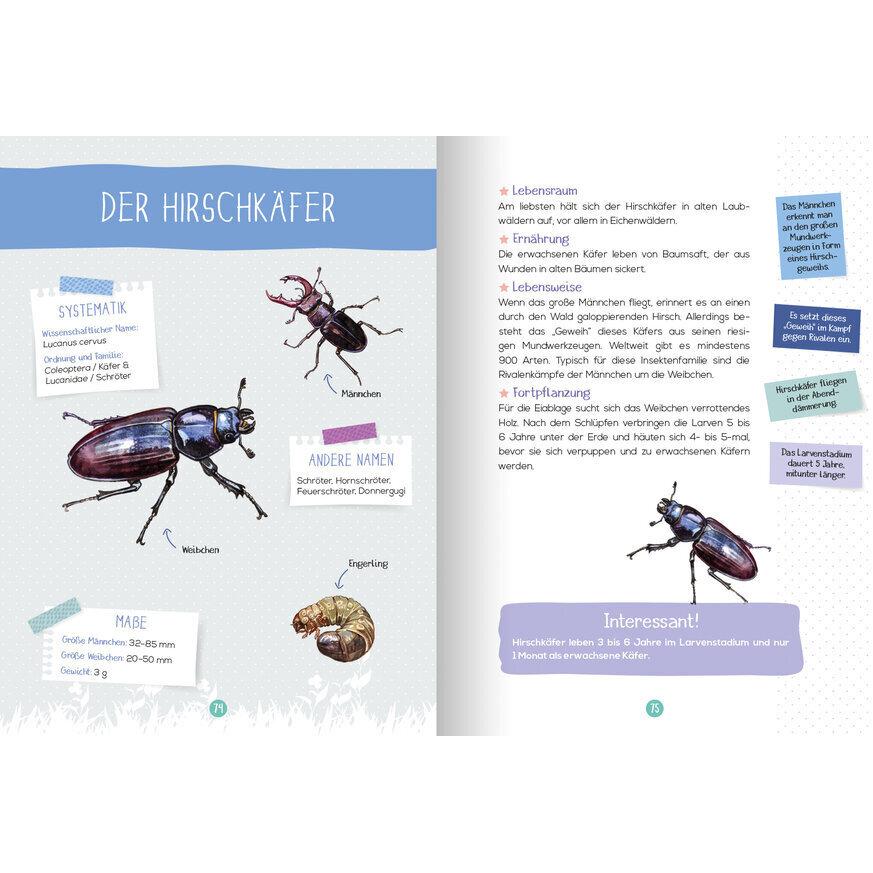 Thumbnail - Mein Naturführer - Insekten, Kinderbücher von Xavier Japiot