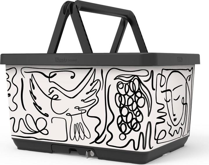The Basky Company Fahrradkorb mit Sperre und Klicksystem für Gepäckträger - Vorderträger Die Basky -Korbdesign Picasso (26.50 l)