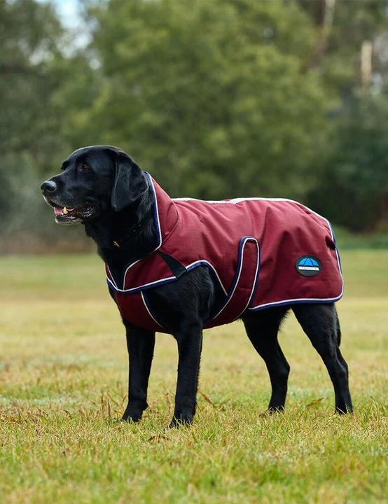 Actual product image Weatherbeeta Comfitec Premier Deluxe (30, Dog raincoat)