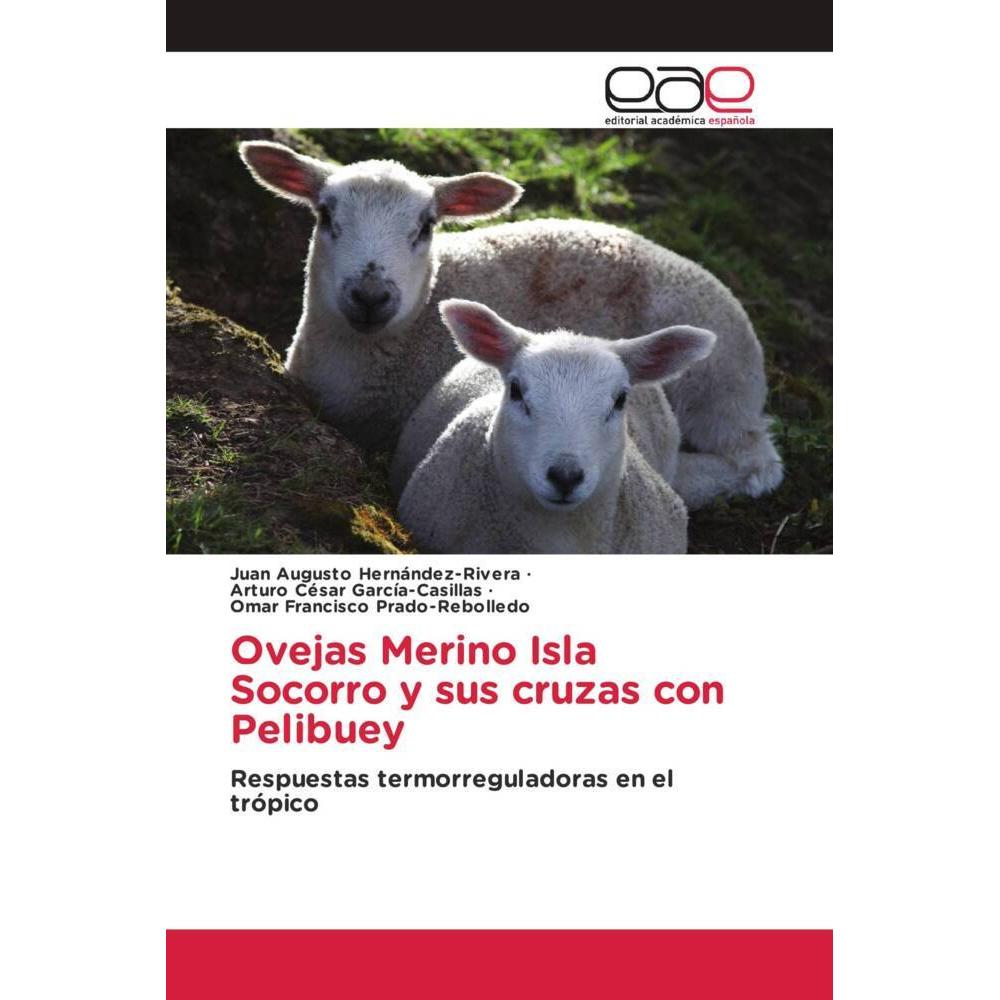 Ovejas Merino Isla Socorro y sus cruzas con Pelibuey, Fachbücher von Juan Augusto Hernández-Rivera, Omar Francisco Prado...