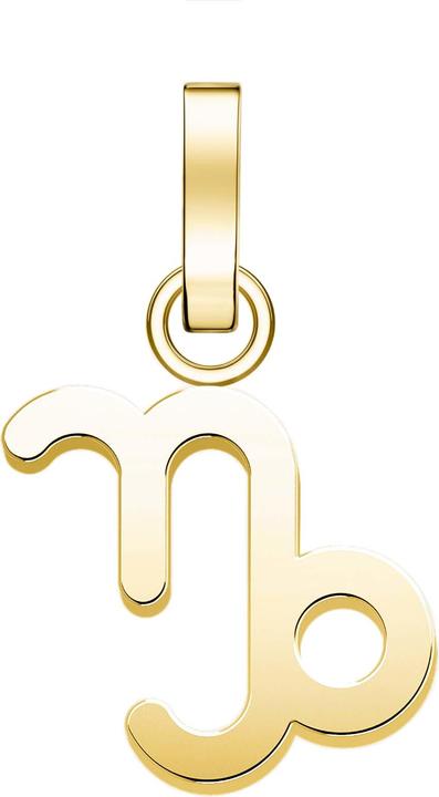 Image du produit Rosefield PozlacenÃ½ pÅ™ÃvÄ'sek Kozoroh The Pendant PE-Gold-Capricorn-S