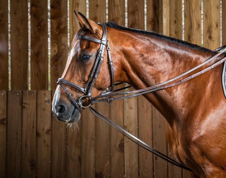 Image du produit Dy'on Hunter