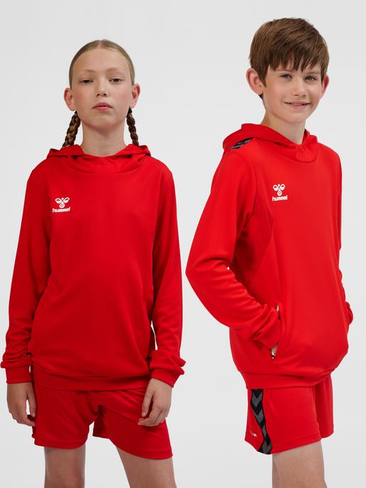Immagine prodotto hummel Hmlauthentic Pl Hoodie Kids (128)