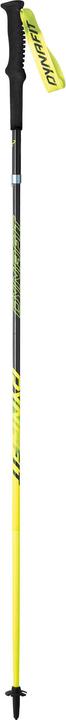 Dynafit Vertical Pro poles (110 cm)