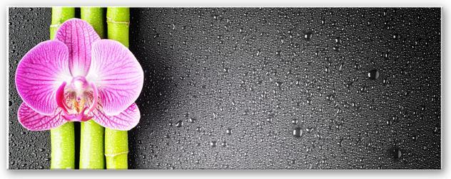 Produktbild Trenddeko Orchid and Bamboo - Panorama (horizontal) (40 x 100 cm)