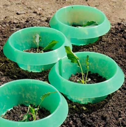 Image du produit Andermatt Biogarten Stop limace PP 12 pièces