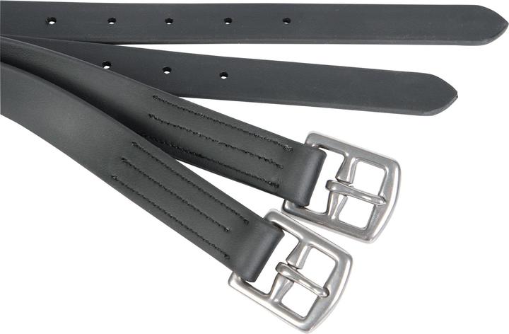 Image du produit Harry's Horse Original Biothane
