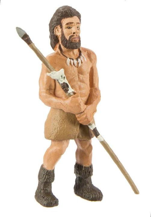 Produktbild Safari Evolution des Menschen