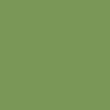 Immagine prodotto Talens Vernice opaca Ecoline (AO verde bronzo, 30 ml)