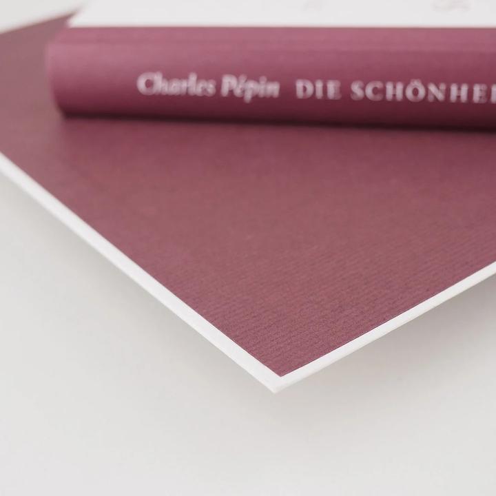 Produktbild Die Schönheit des Scheiterns (Deutsch, Charles Pépin, 2017)