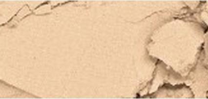 Image du produit Sisley Phyto-Poudre Compacte (2 Naturel)