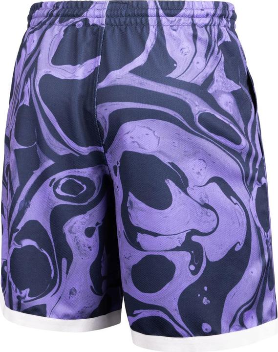 Actual product image 47 Brand MLB Mesh Shorts - TWIST New York Yankees (XXL)