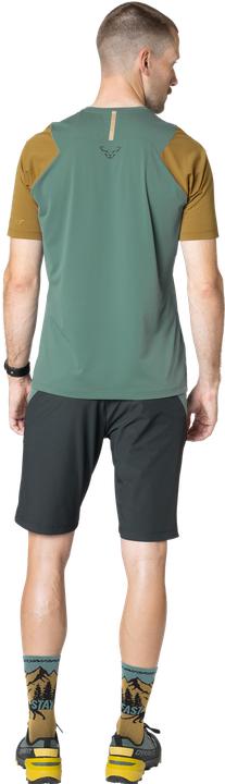 Actual product image Dynafit Transalper Light Dynastretch Shorts Herren (L)