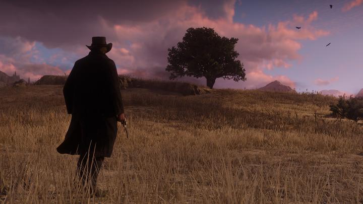 Produktbild Microsoft Red Dead Redemption 2 (Xbox One S, EN)