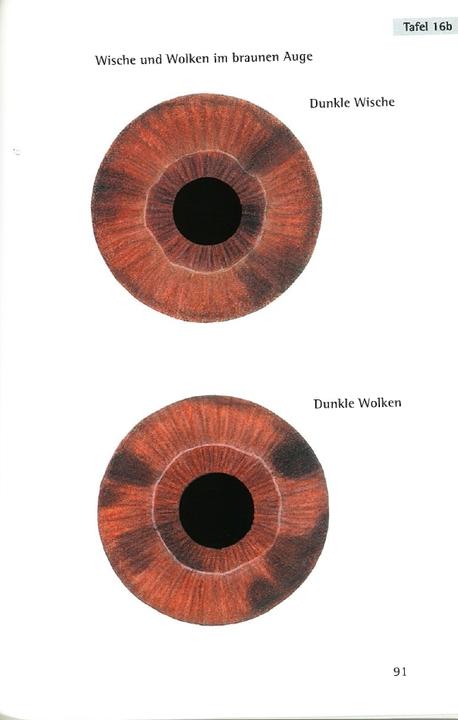 Produktbild Repertorium der Irisdiagnose (Deutsch, Joachim Broy, 2016)