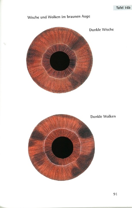 Produktbild Repertorium der Irisdiagnose (Deutsch, Joachim Broy, 2016)