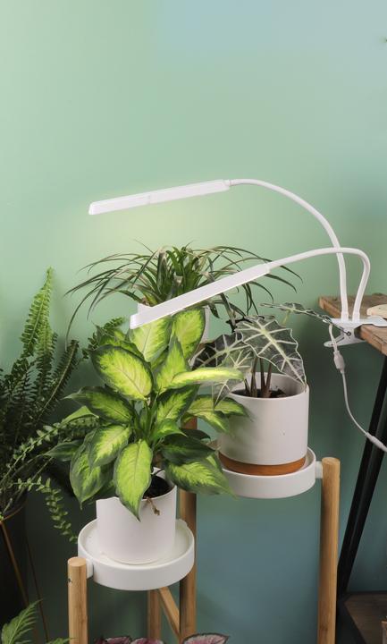 Actual product image Enne Interior Duo Grow Plant Light (LED)