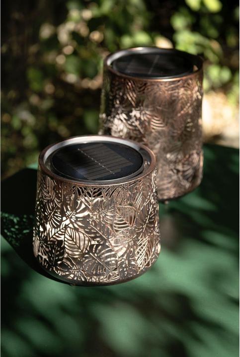 Produktbild STT Solar Antic Mini Jungle