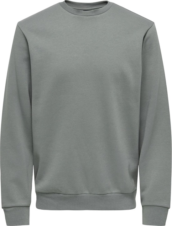 Gris Castor Gray