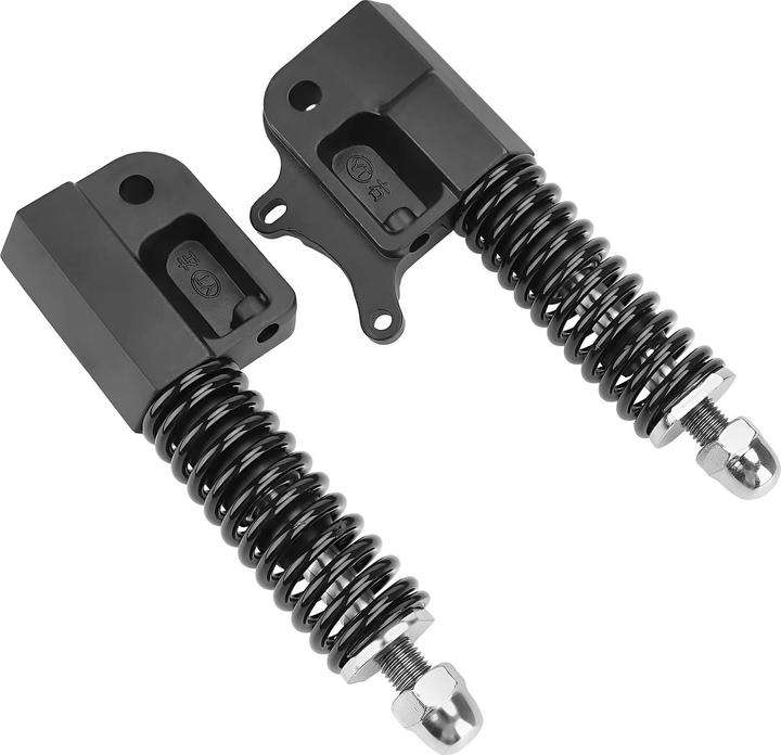 Actual product image Avizar Front Shocks