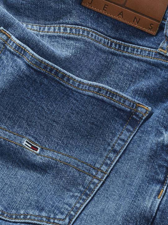 Productafbeelding Tommy Jeans DAD JEAN RGLR TPRD AI5157 (W28/L32)