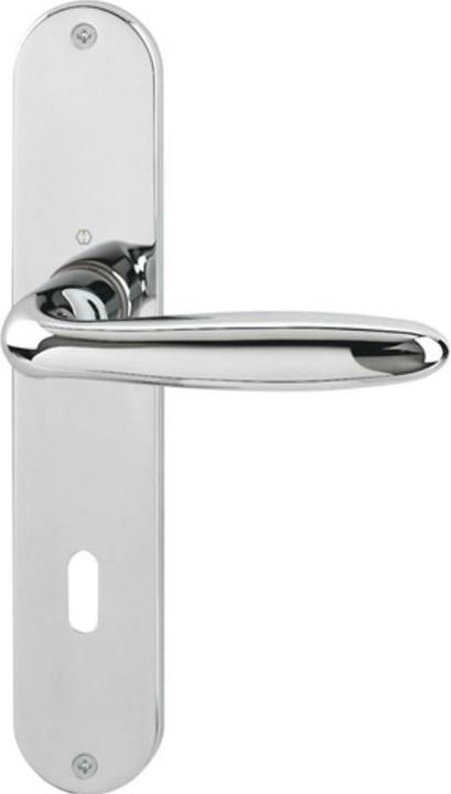 Actual product image Hoppe Long plate set Verona M151/302 brass F49-R OB 72 mm DIN left / right (Door plate set)