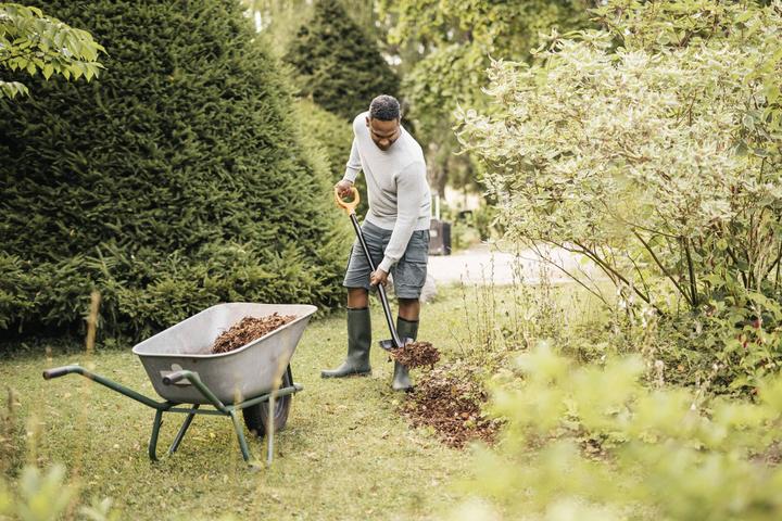 Actual product image Fiskars Scoop