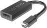 Produktbild Lenovo USB-C zu (DP, 20 cm)