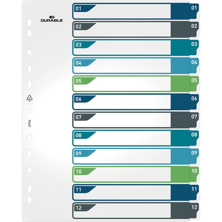 Energy Label Durable Register A4 + 12pcs. 1-12 coloured tabs+trans. Form.