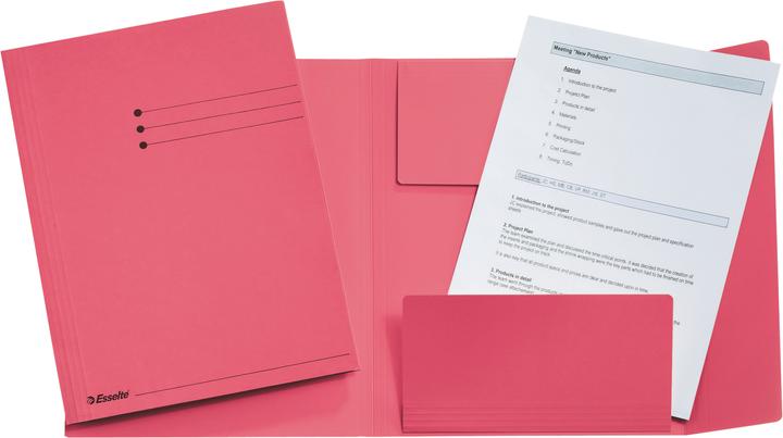 Esselte Legal folder (A4, 1x)