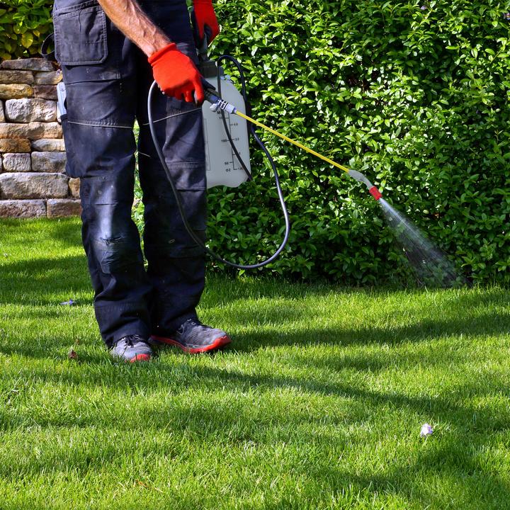 Actual product image Relaxdays Pressure sprayer (5 l)