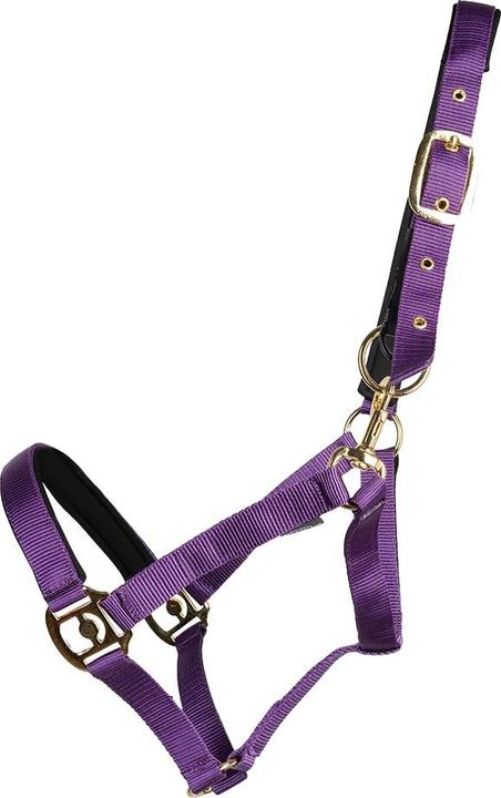 Produktbild Hy Pferdehalfter Fieldsafe