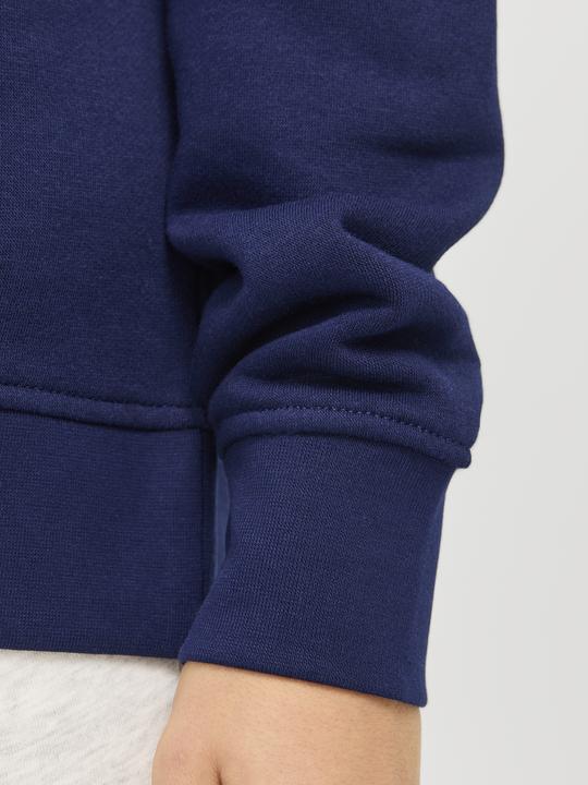 Immagine prodotto Jack & Jones Felpa stampata mini felpa (98)