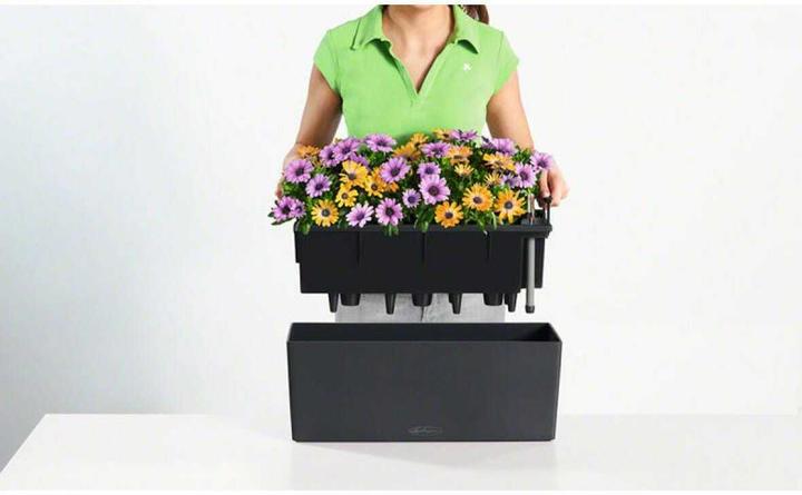 Productafbeelding Lechuza Balconera Kleur (50 x 19 x 19 cm)