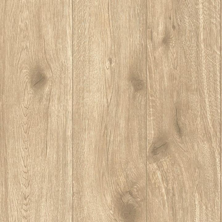 Produktbild A.S. Création Holzoptik Best of Wood'n Stone (53 x 1005 cm)