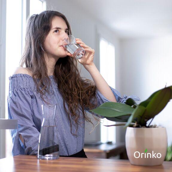 Produktbild Orinko Binchotan Aktivkohle Wasserfilter Japan 5er-Pack (5 x)