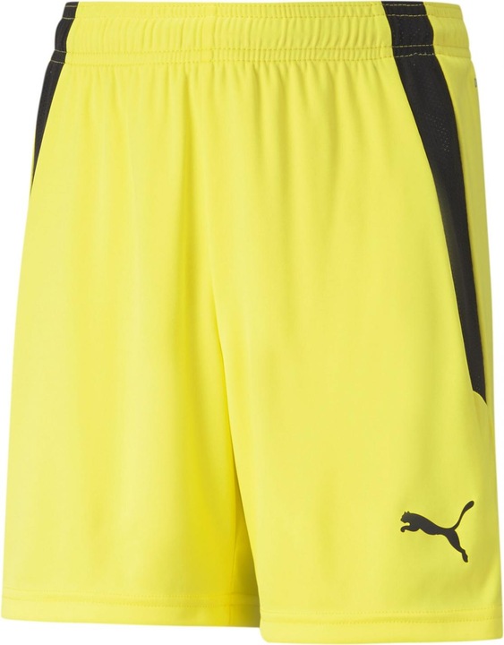 Actual product image Puma teamLIGA Shorts Jr-704931 (128)