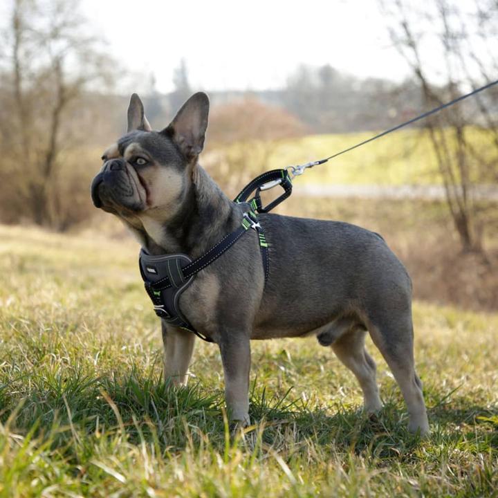 Produktbild Kerbl Autosicherheitsgeschirr (Hund, Faltbar, Sicherheitsverschluss)