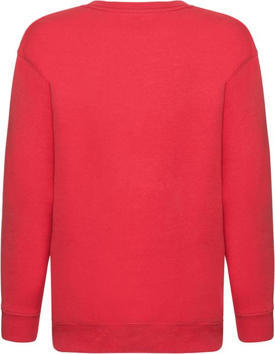 Actual product image Fruit of the Loom Childrens/Kids Premium Set-in Sweatshirt (140, 146)