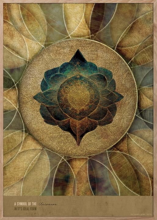 Produktbild ChiCura Ideal Form Poster (29.70 x 42 cm)