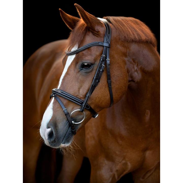 Immagine prodotto Catago Torina