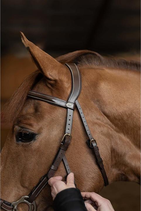 Immagine prodotto HFI Master Hackamore