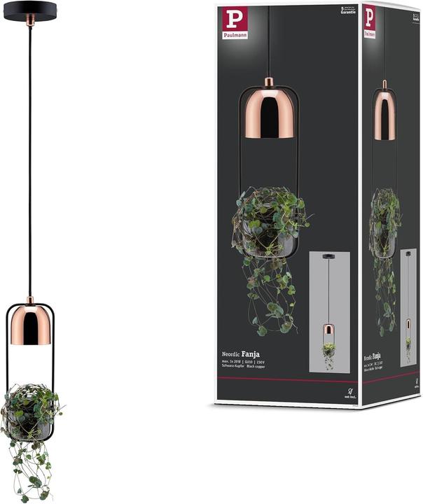 Image du produit Paulmann Fanja (GU10)