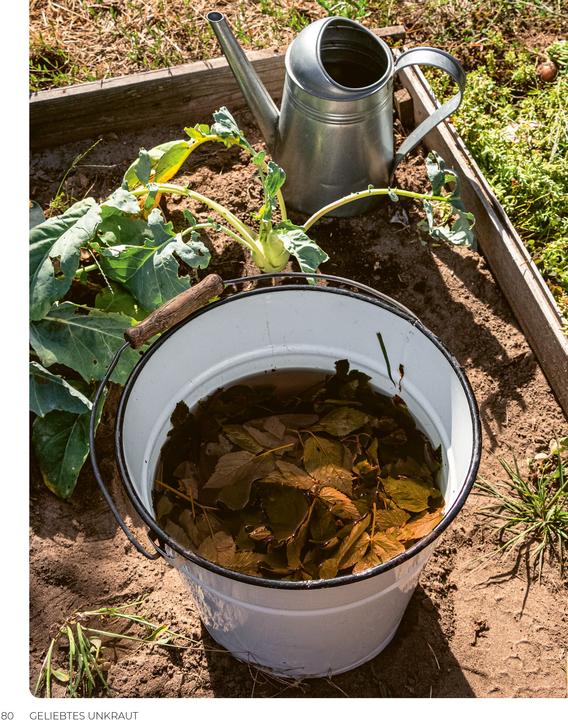 Produktbild Geliebtes Unkraut (Deutsch, smarticular Verlag, 2024)