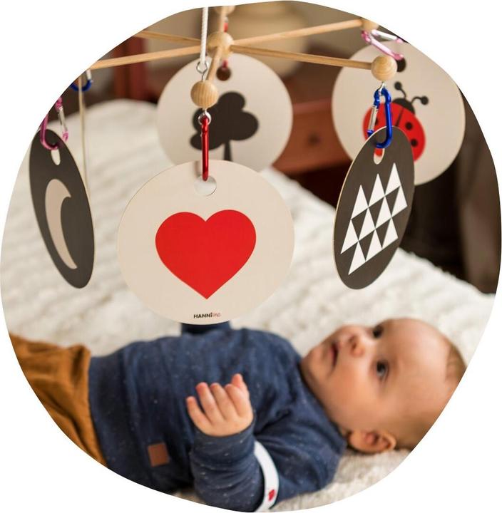 Actual product image Hanniline Contrast maps (German)