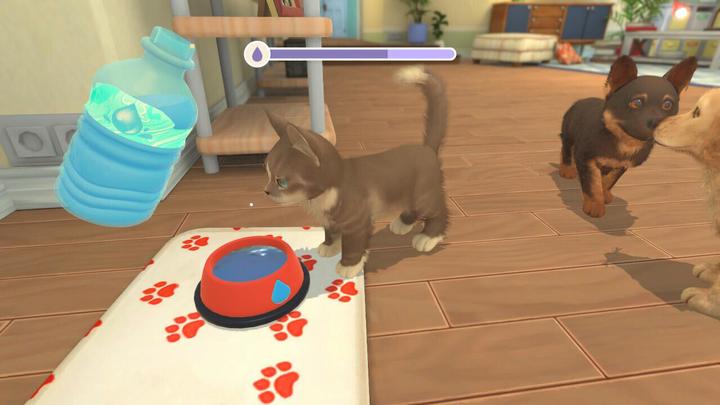 Image du produit Maximum Games My Universe - Chiens et chatons (Switch, IT)