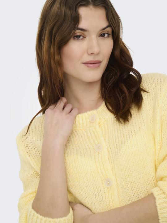 Produktbild JdY Jdydinea L/S Button Cardigan Knt Noos (M)